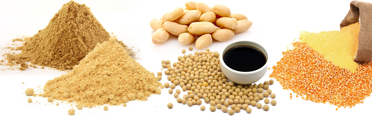 Yeast Hydrolysate powder supplier Yeast Hydrolysate powder supplier